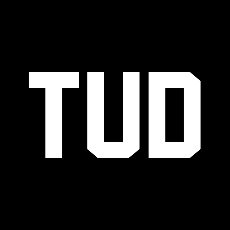 The Ugly Duck by TUD - Vinyl Pulse